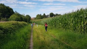 20200719 182010 1024x576